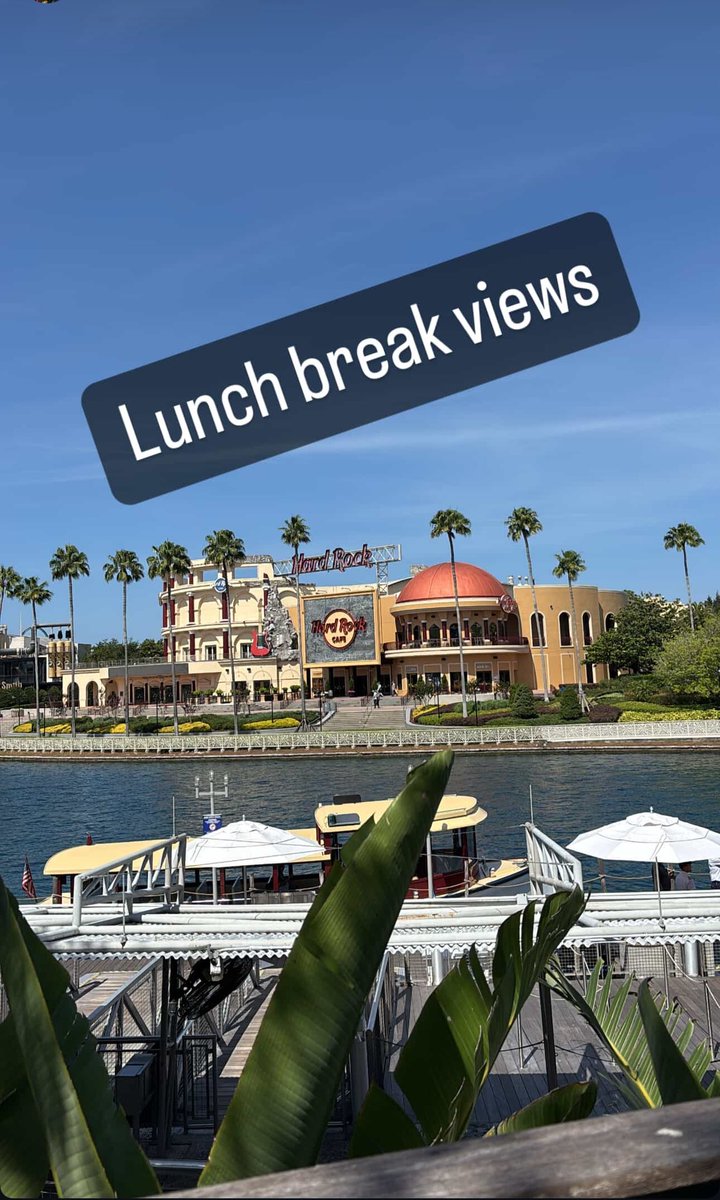 TRexyXO (@trexyxo) on Twitter photo 