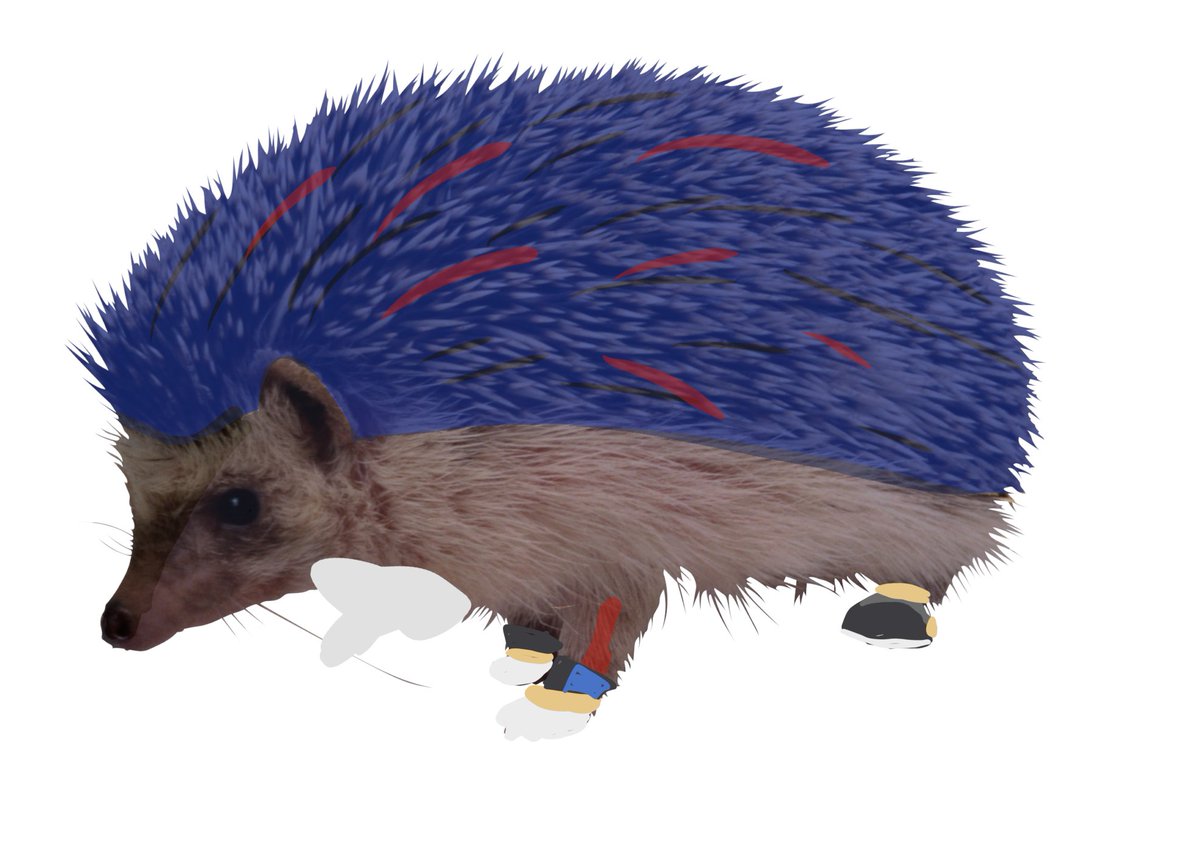 <a href="/MiniJulzVA/">The King Of Chaos</a>