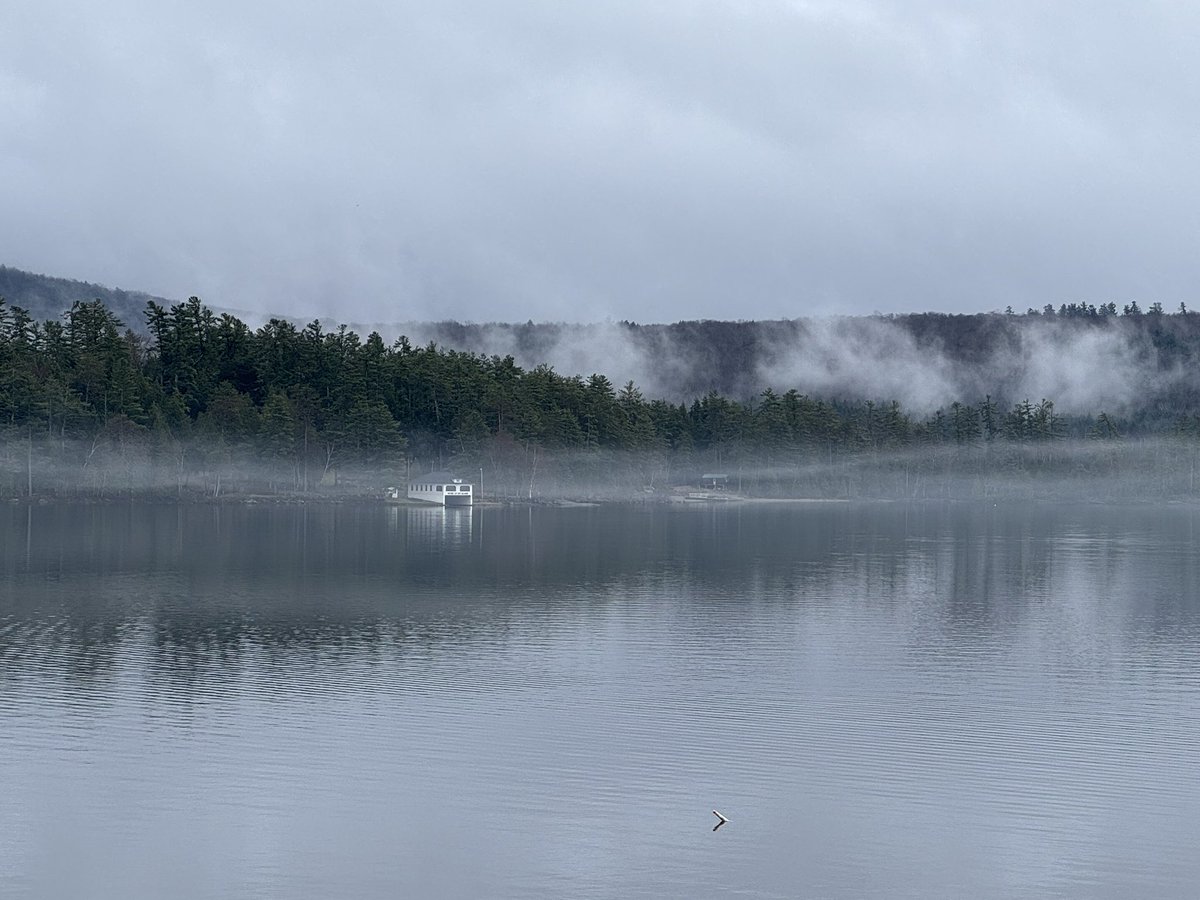 ‘Time is a sort of river of passing events, and strong is its current; no sooner is a thing brought to sight than it is swept by and another takes its place, and this too will be swept away.’ – Marcus Aurelius