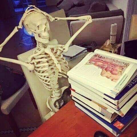 mnlle_2003's tweet image. Master ou femme au foyer