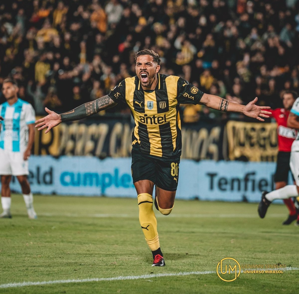 El Rey 👑 se sacó la mufa y esta Feliz !!

📷 <a href="/GiovanniSBURLA1/">Giovanni Sburlati</a>