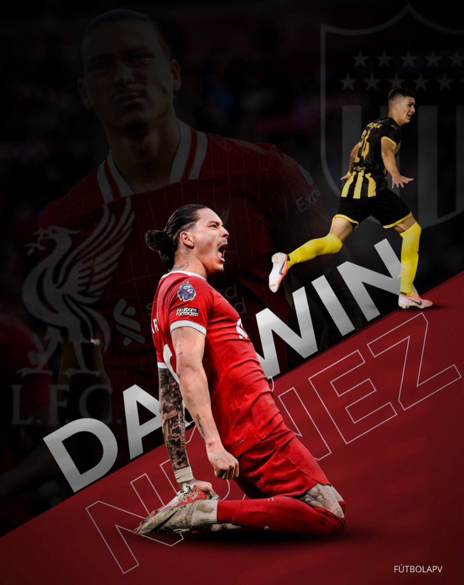 FútbolAprimeraVista (@futbol_apv) on Twitter photo 🏆 NOVENO TÍTULO OFICIAL PARA <a href="/Darwinn99/">Darwin Núñez</a>
#PEÑAROL:
🏆 Torneo Clausura 2017
🏆 Campeonato Uruguayo 2017
🏆 Torneo Clausura 2018
🏆 Campeonato Uruguayo 2018
🏆 Supercopa Uruguaya 2018
🏆 Torneo Apertura 2019
#LIVERPOOL:
🏆 Community Shield 2022
🏆 Copa de la Liga 2024
🏆 🏆 NOVENO TÍTULO OFICIAL PARA <a href="/Darwinn99/">Darwin Núñez</a>
#PEÑAROL:
🏆 Torneo Clausura 2017
🏆 Campeonato Uruguayo 2017
🏆 Torneo Clausura 2018
🏆 Campeonato Uruguayo 2018
🏆 Supercopa Uruguaya 2018
🏆 Torneo Apertura 2019
#LIVERPOOL:
🏆 Community Shield 2022
🏆 Copa de la Liga 2024
🏆