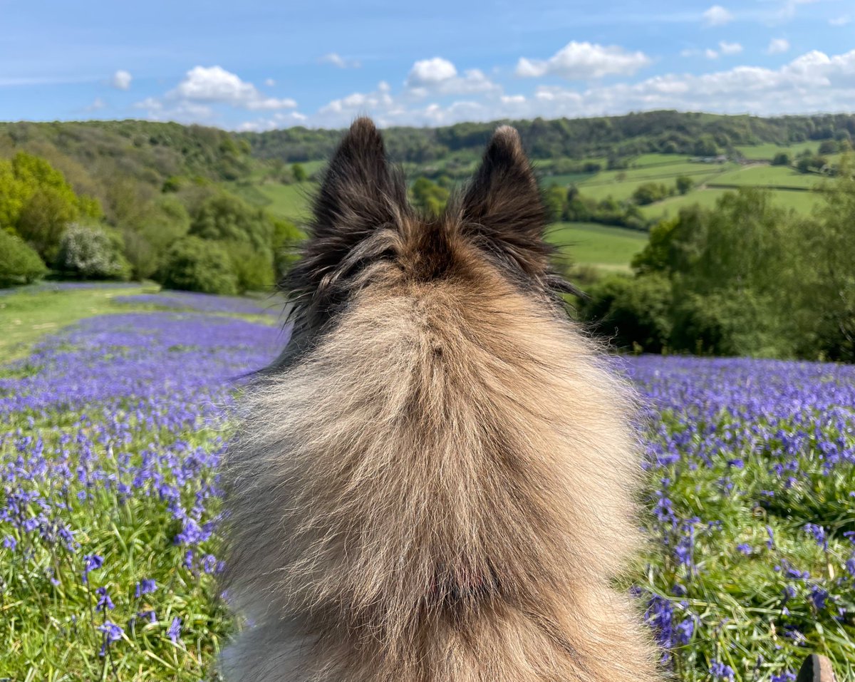 Kieran Hunt ™ tweet media