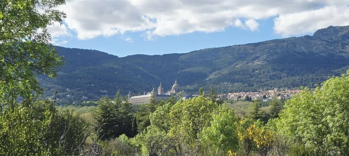 ....presente perfecto 🪁