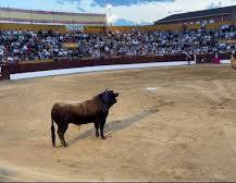 Tristán LL tweet media