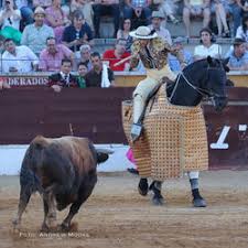 Tristán LL tweet media