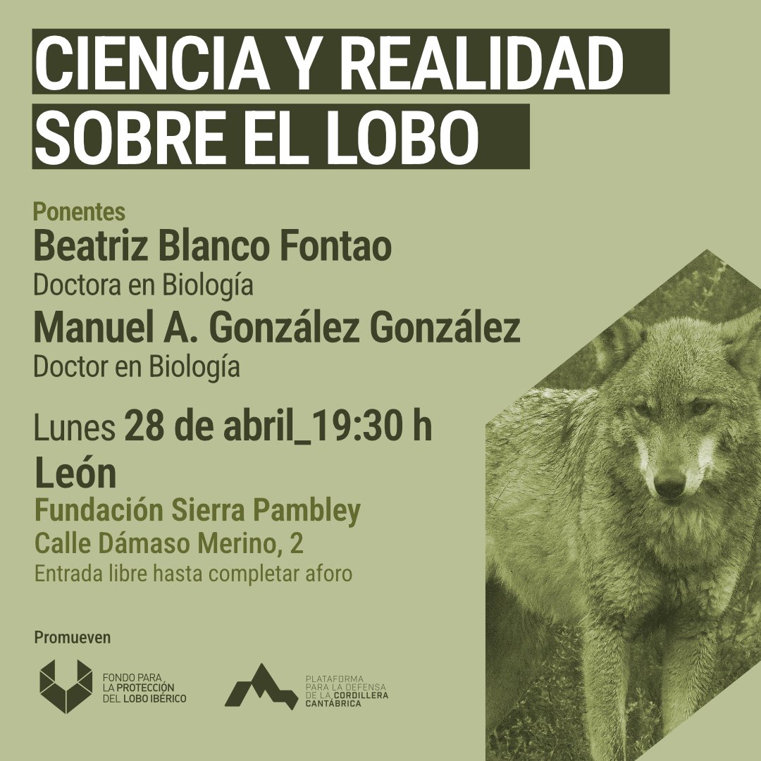 FondoLobo's tweet photo. Recordad que mañana andaremos por aquí. Frente al ruido mediático: ciencia y realidad.
Nos vemos mañana en @sierrapambley a partir de las 19:30! https://t.co/A24Wgtv44P