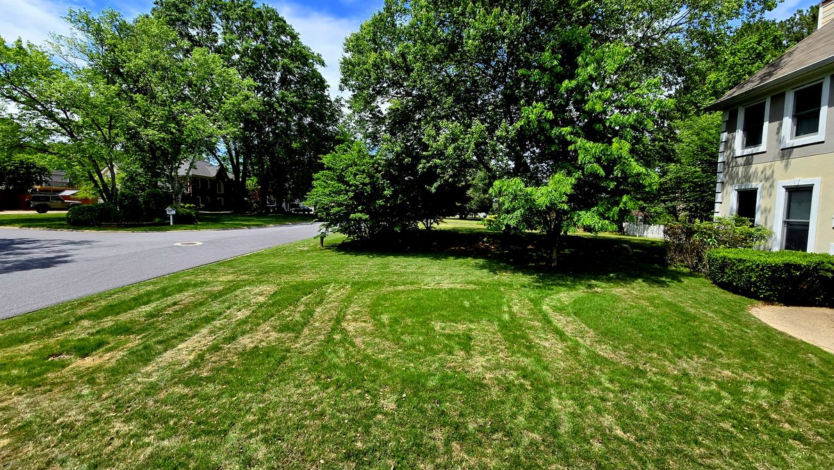 Gameday ready <a href="/OrlandoMagic/">Orlando Magic</a>