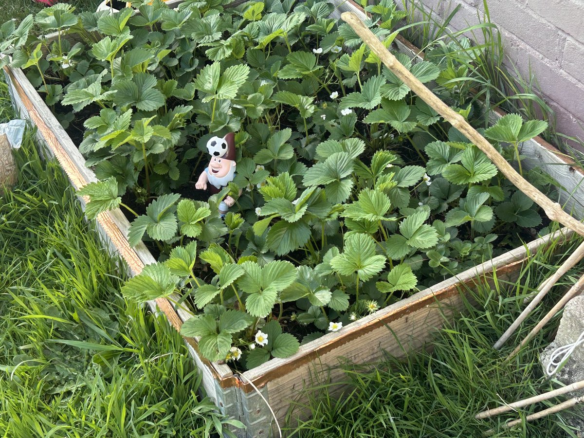 Nick Riley tweet media