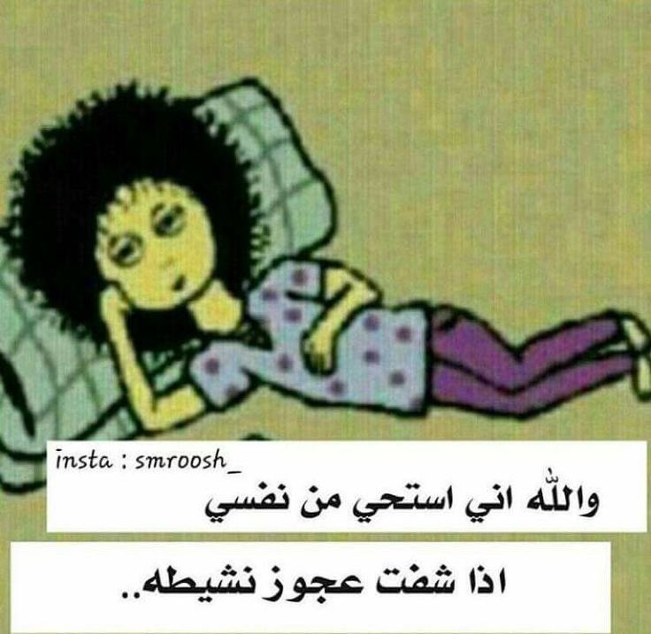 فوندو tweet media