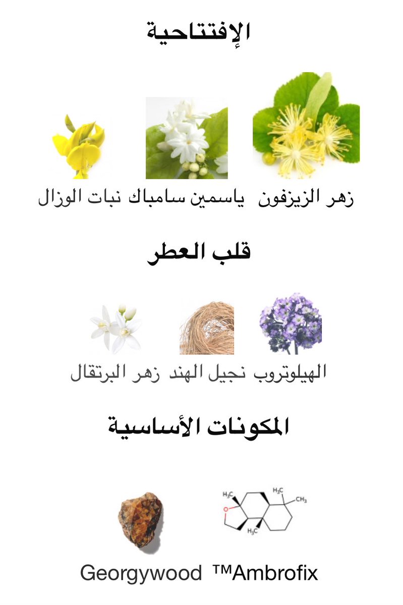 -

فاجأني بجماله هذا العطر ‼️

ونتد من براند جالينو ديلينا (براند فرنسي)

عطر صيفي برائحة الزهور الصفراء 🌻

يبدا العطر بطابع منعش زهري خيالي اكثر نوته ظاهرة زهرة الزيزفون طابع زهري عسلي حلو يسبب الادمان

بعدها يتحول العطر لطابع عشبي اخضر مبلل بسبب الفيتفر المنعش بقاعدة … يتبع