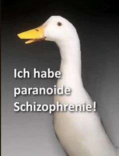 Dany Sterkhov 🛡✈ (@danysterkhov) on Twitter photo 