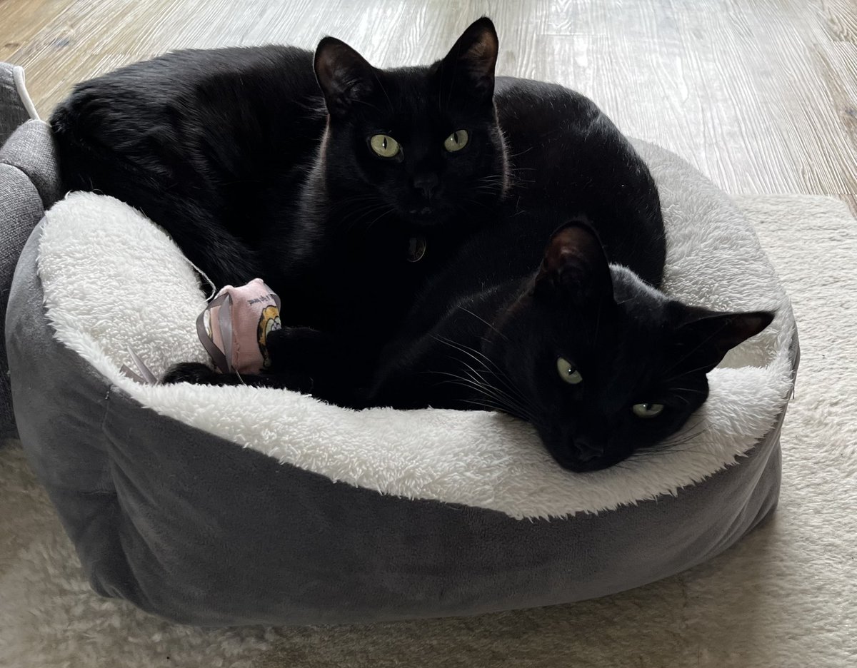 Leta & Lally tweet media