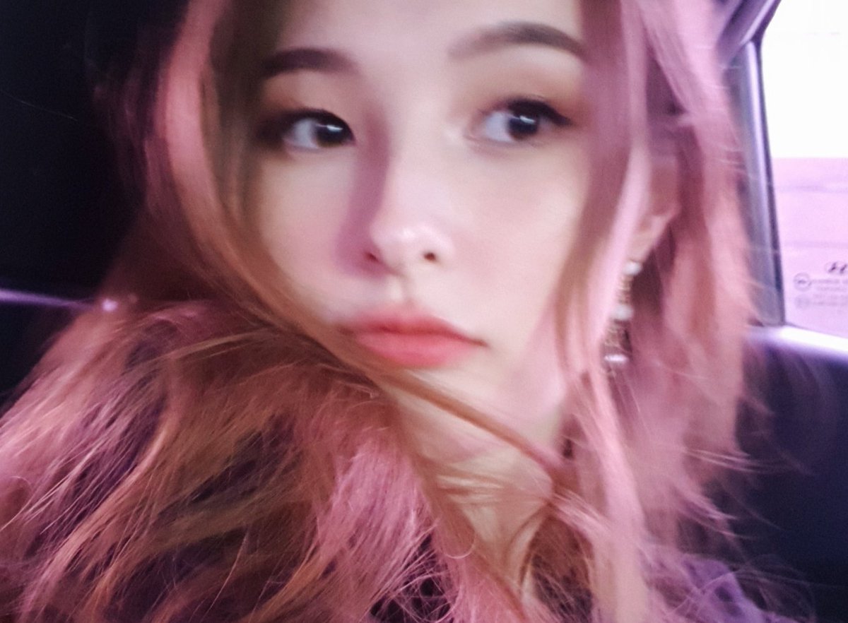 daily tina (@mytinakitten) on Twitter photo 