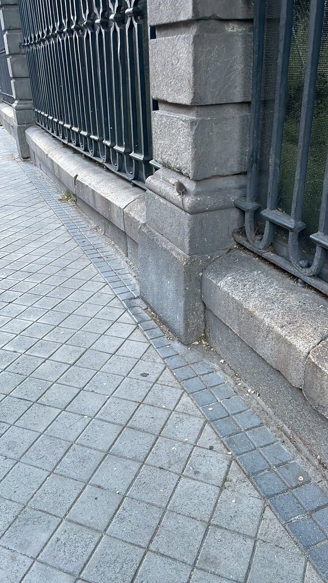 pabloinglan's tweet photo. Así estamos por Madrid @MADRID  #huelgabasura https://t.co/tl45VmouLg