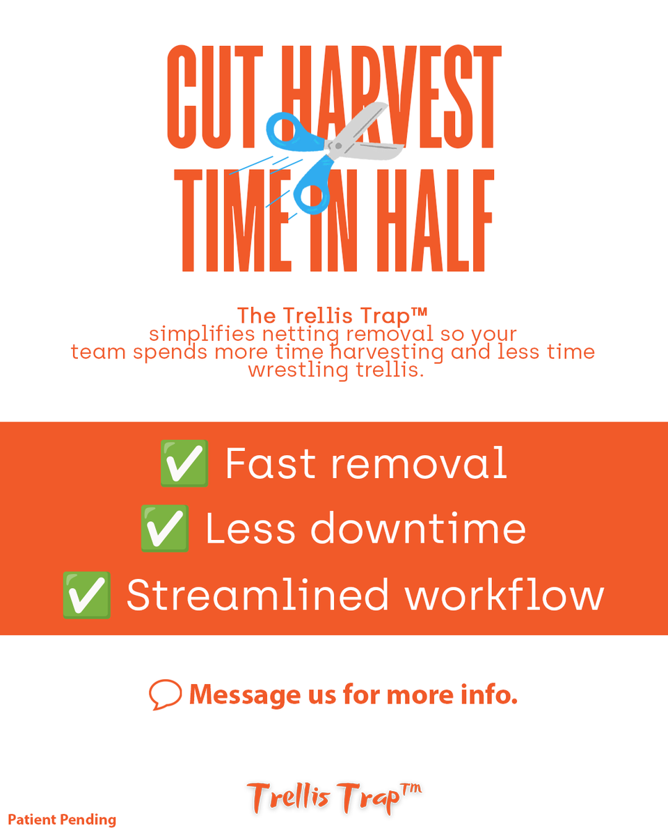 CannaInnov's tweet photo. ⏱️ Harvest time = 💰💰💰

Stop wasting hours wrestling tangled trellis netting.

The Trellis Trap™ is the game-changing harvest tool built for serious cultivators: https://t.co/Jg41vnGpUd