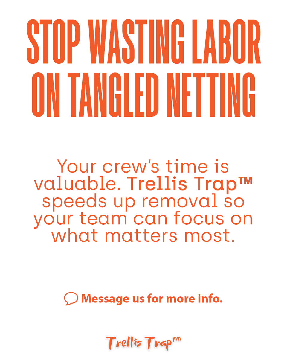 CannaInnov's tweet photo. ⏱️ Harvest time = 💰💰💰

Stop wasting hours wrestling tangled trellis netting.

The Trellis Trap™ is the game-changing harvest tool built for serious cultivators: https://t.co/Jg41vnGpUd