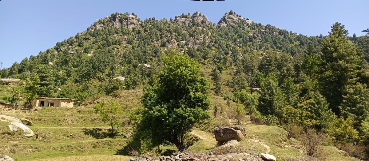 zohaibPlf's tweet photo. I will call this month of April the
 #PLF 's Elections Campaign month,
DBA Elections on 8th April &amp; PHC Elections on 26th. And today after a long time I went hiking to the valley #Elum Valley ( #Paradise ).
Lush Greenery everywhere and natural food as well. ❤️ https://t.co/CKrTVVmOu5