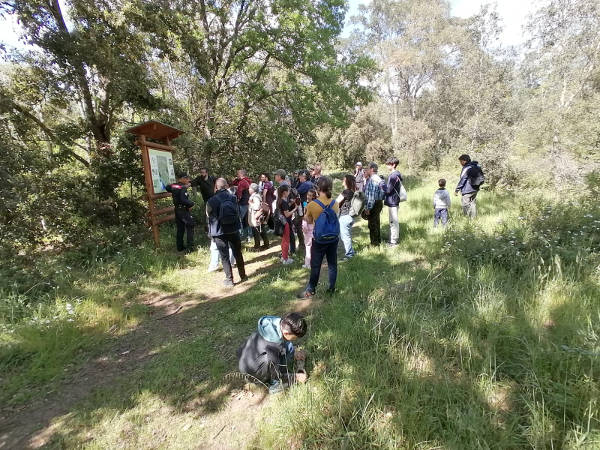 Il #25aprile alla Tenuta Presidenziale di #Castelporziano <a href="/Quirinale/">Quirinale</a> e il 26/4 alla Faggeta di Oriolo Romano il  <a href="/WWF_Roma/">WWF Roma</a> ha celebrato l’edizione 2025 del #CityNatureChallenge. R.Maggini “Ringraziamo lo Staff della Tenuta e <a href="/_Carabinieri_/">Arma dei Carabinieri</a> Forestali
 wwfroma.it/aggiornamenti-…