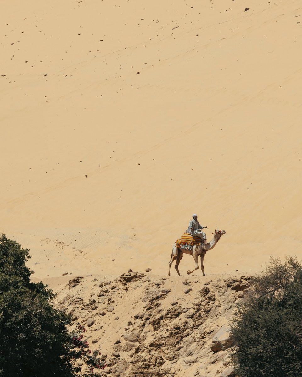 Ivankylove's tweet photo. “Egipto, donde cada rincón cuenta historias milenarias y cada luz dibuja un cuadro imposible de olvidar.
Esta tierra no solo se mira, se siente.

#Egipto #TravelPhotography #PhotographyJourney #canonr6 #ivanamormaeso https://t.co/PZ6cQvOMXW