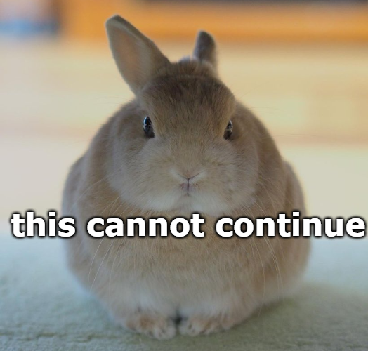 emma 🐇 (@forestdruiddyke) on Twitter photo 