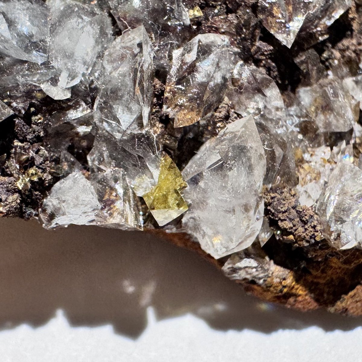 exoticcrystals's tweet image. ⚜️Yellow Adamite on Calcite from Ojuela Mine, Mapimi, Mexico⚜️ #adamite