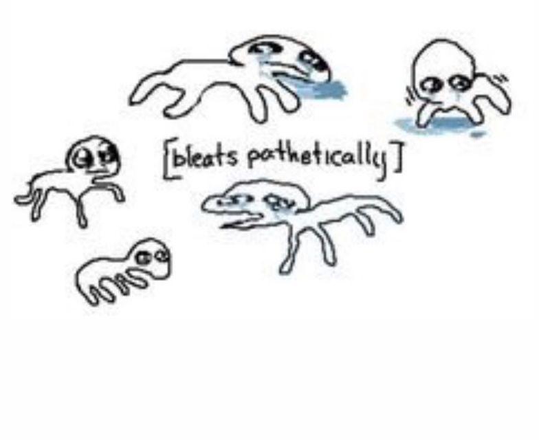 youve_got_this_'s tweet image. I'm literally inconsolable
😭😭😭💞💞💞
The apple don't fall far from the tree

(Belle,Colt)

#BrawlStars #GoldarmGang #RangerRanch