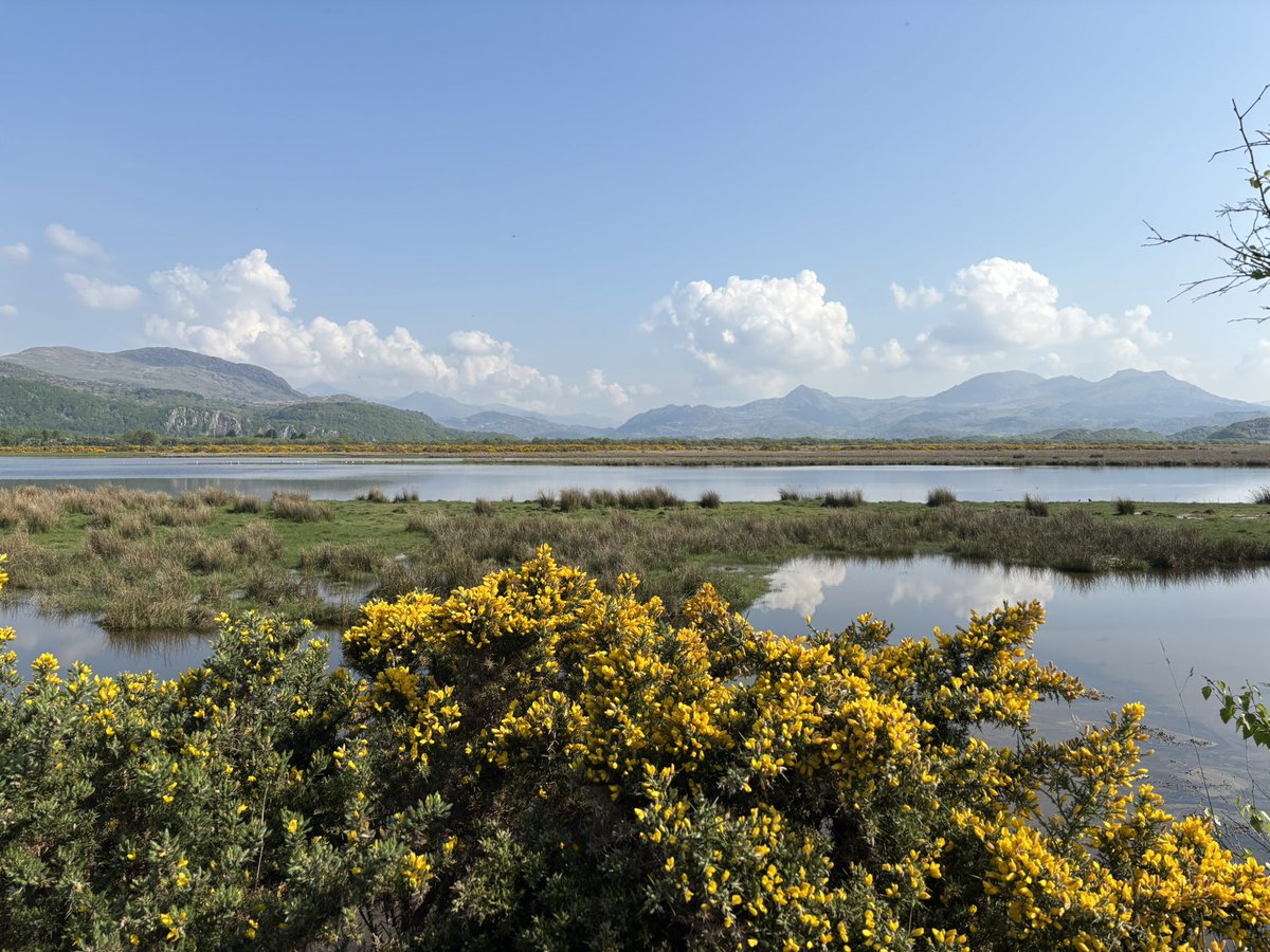 Susan Jones tweet media