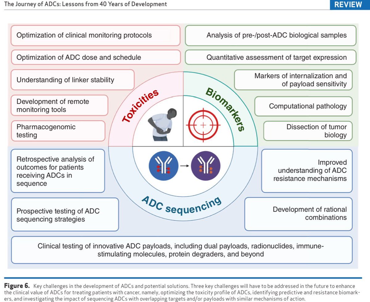 IntraMed Oncología (@intramedonco) on Twitter photo 🎯La reseña definitiva de ADC! 40 años de ADC. Lectura obligada para residentes.
10.1158/2159-8290.CD-24-0708
<a href="/tuttsakhil/">Dr Akhil Santhosh</a> <a href="/drvineetgovinda/">Dr Vineet Govinda Gupta</a> <a href="/shaunak_3/">Valame MD DNB</a> <a href="/SuyogCancer/">Dr Amol Akhade</a> <a href="/todrashish/">Ashish Singh</a> <a href="/jtgeorgy/">Josh Thomas Georgy</a> <a href="/ajoyojohn/">Ajoy Oommen John</a> 🎯La reseña definitiva de ADC! 40 años de ADC. Lectura obligada para residentes.
10.1158/2159-8290.CD-24-0708
<a href="/tuttsakhil/">Dr Akhil Santhosh</a> <a href="/drvineetgovinda/">Dr Vineet Govinda Gupta</a> <a href="/shaunak_3/">Valame MD DNB</a> <a href="/SuyogCancer/">Dr Amol Akhade</a> <a href="/todrashish/">Ashish Singh</a> <a href="/jtgeorgy/">Josh Thomas Georgy</a> <a href="/ajoyojohn/">Ajoy Oommen John</a>
