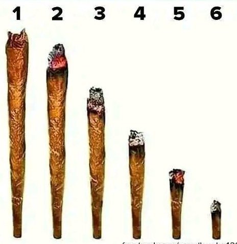 Zito 🐐💨🎖️ tweet media