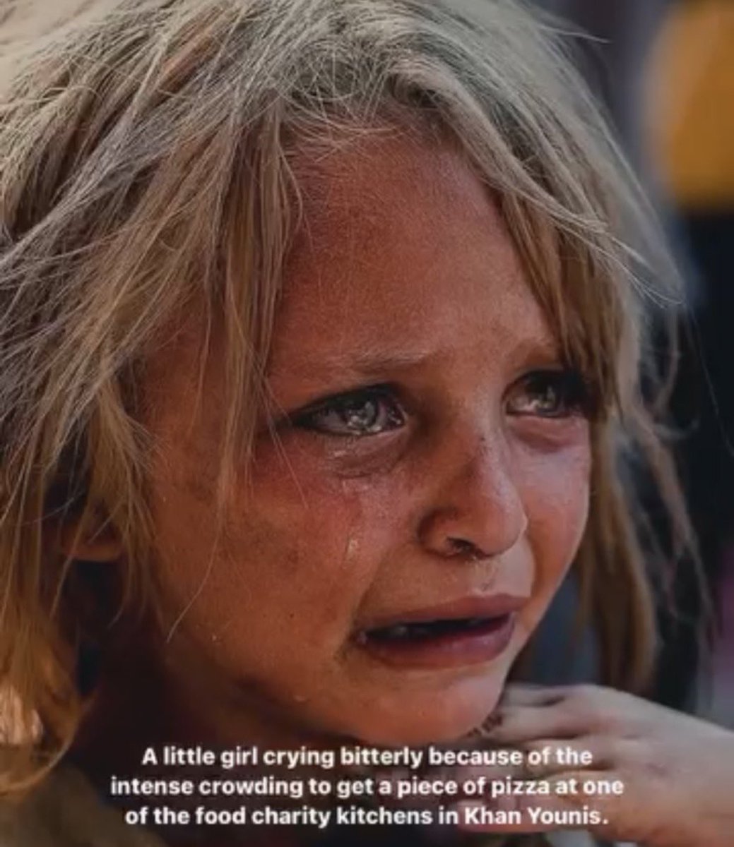 Sam Fadli tweet media