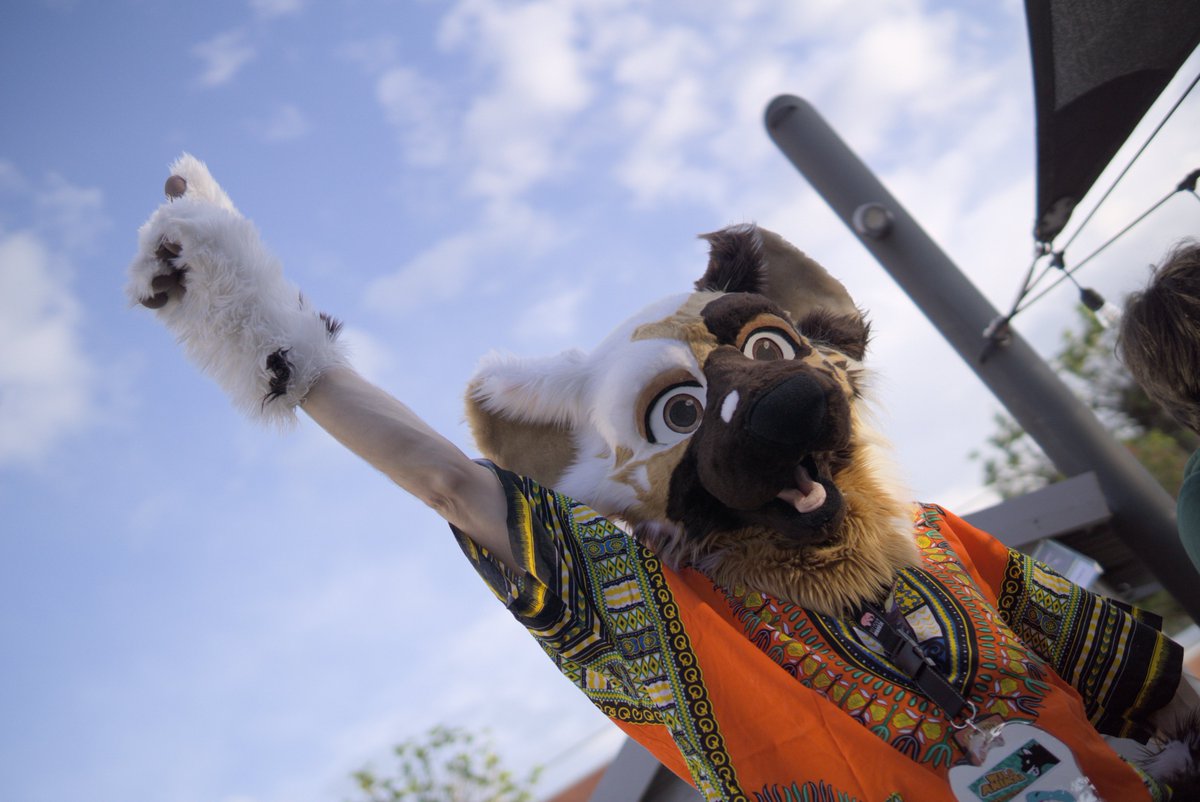 Pan_TalaimonF's tweet photo. And another ones #Fauntastic5 , featuring Shoelace, @Ruvy_The_Wolf &amp; Ascky, @NivesFufu , and silly @ArsonEcstasy https://t.co/VpmfbpacKE
