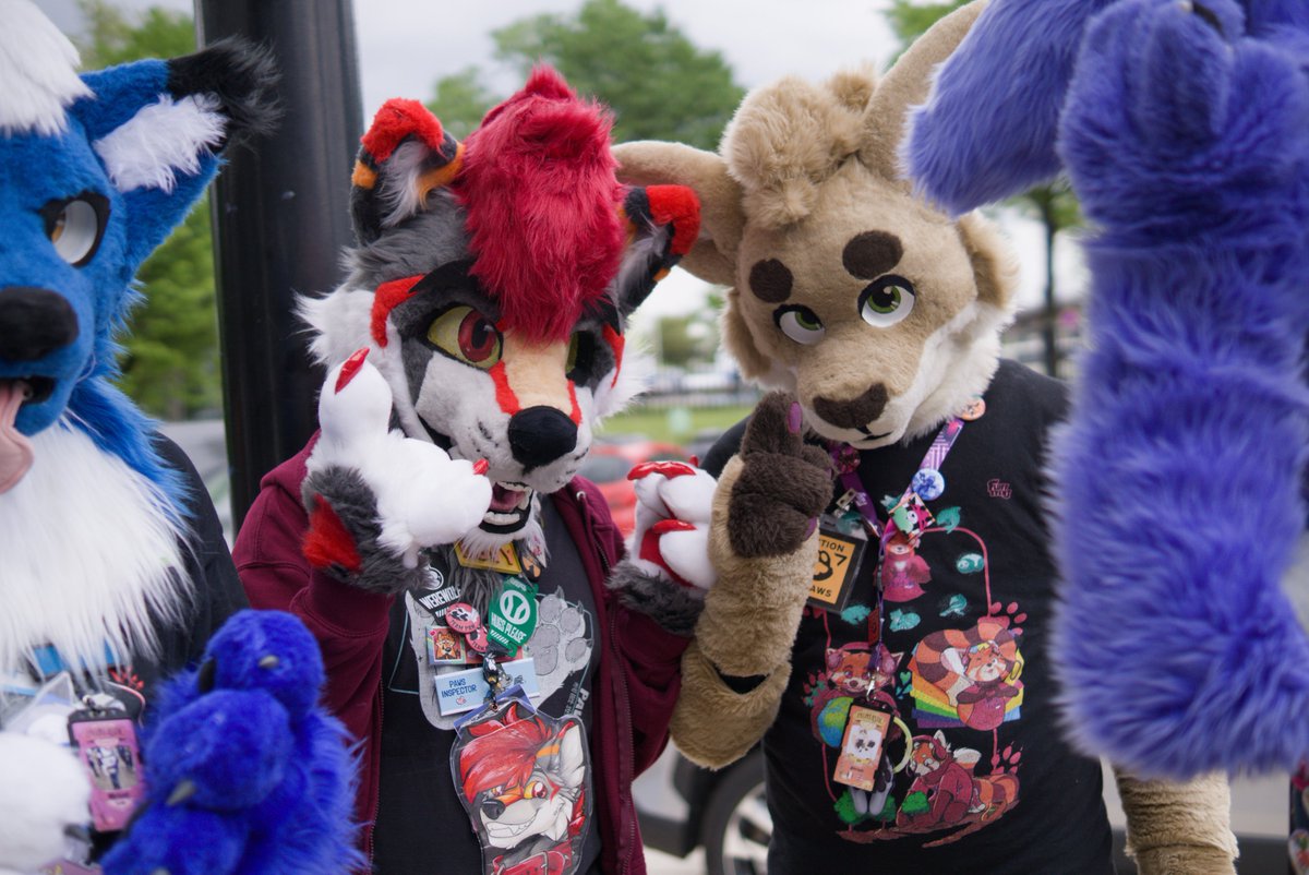 Pan_TalaimonF's tweet photo. And another ones #Fauntastic5 , featuring Shoelace, @Ruvy_The_Wolf &amp; Ascky, @NivesFufu , and silly @ArsonEcstasy https://t.co/VpmfbpacKE