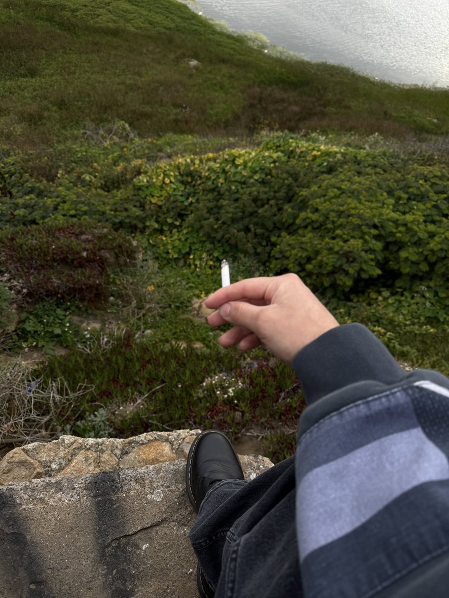 A_kzel's tweet photo. San Francisco (─‿‿─) https://t.co/9JlwkkRKHh