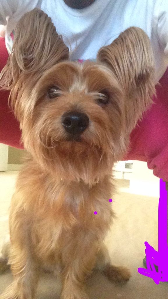 Protein40👑XRP🏈🏴‍☠️ tweet media