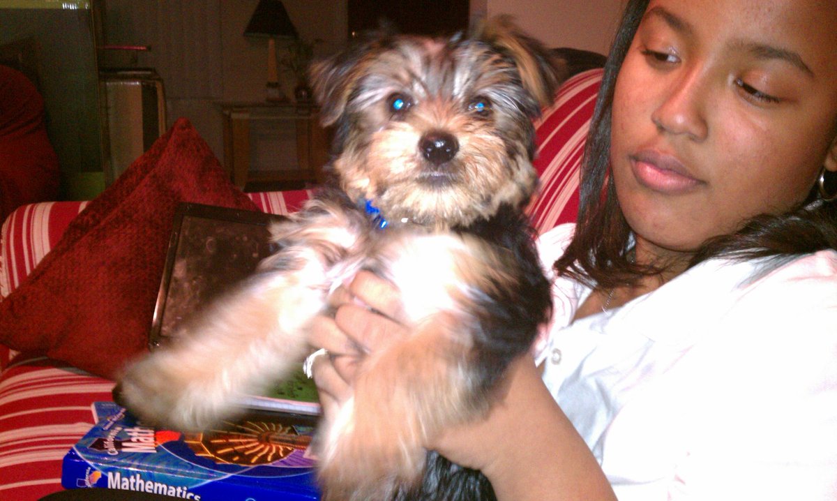 Protein40👑XRP🏈🏴‍☠️ tweet media