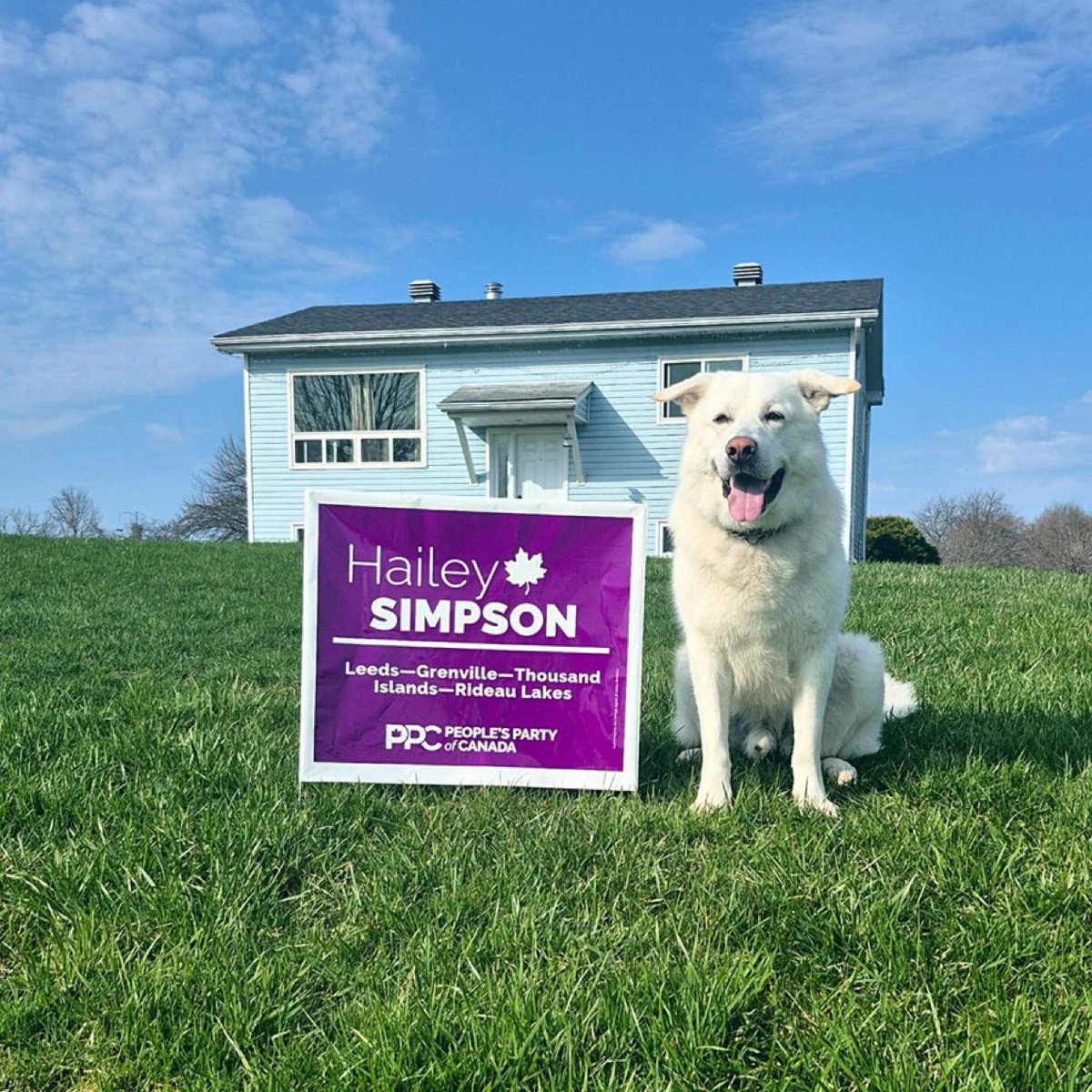 Maxime Bernier tweet media