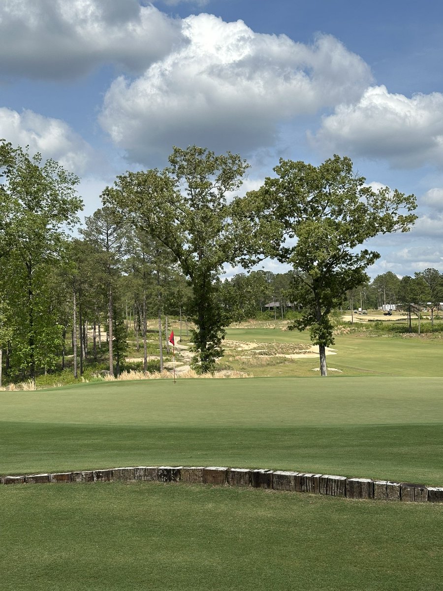 Joe Colangelo tweet media