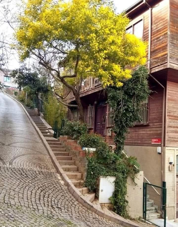 Kuzguncuk ...