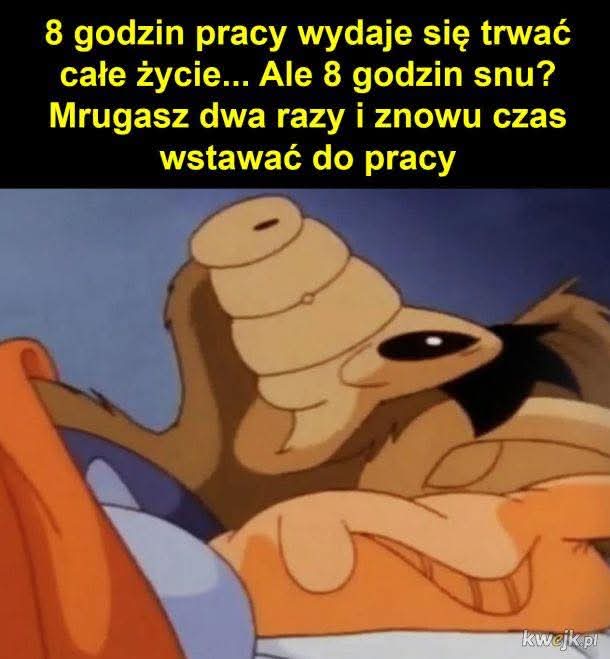 Fan Technologii 📱♿ tweet media