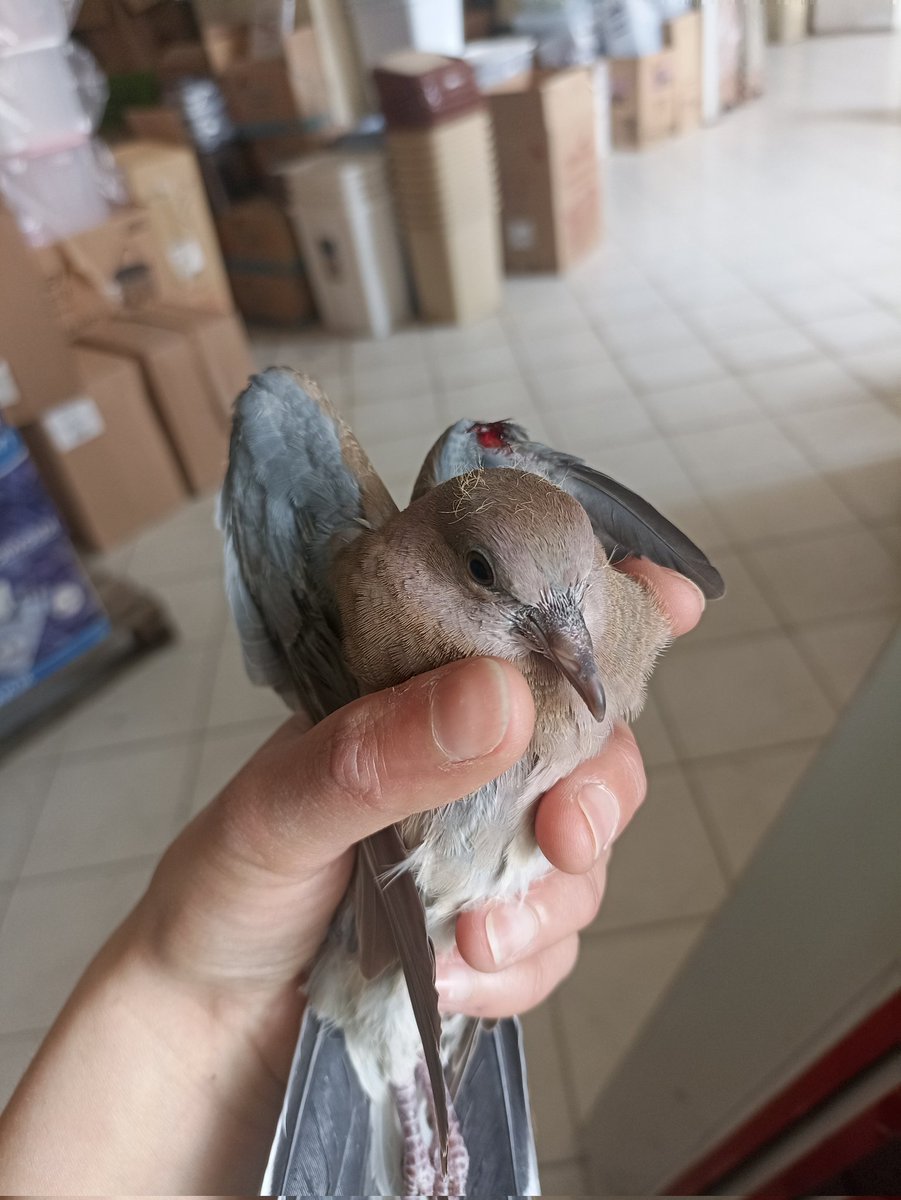 Depomun küçük misafiri 🤍