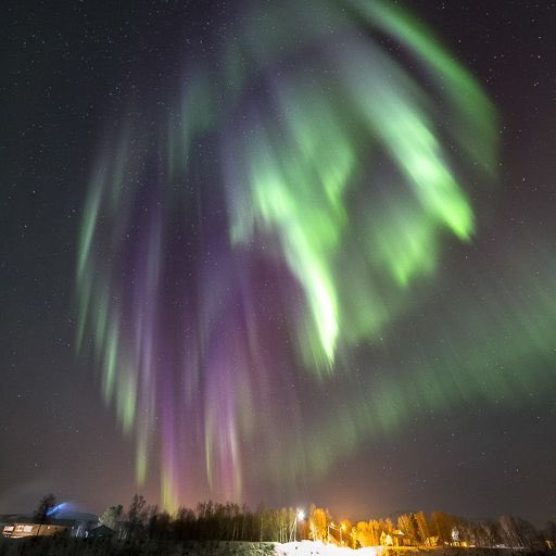 Who would like to see this ?