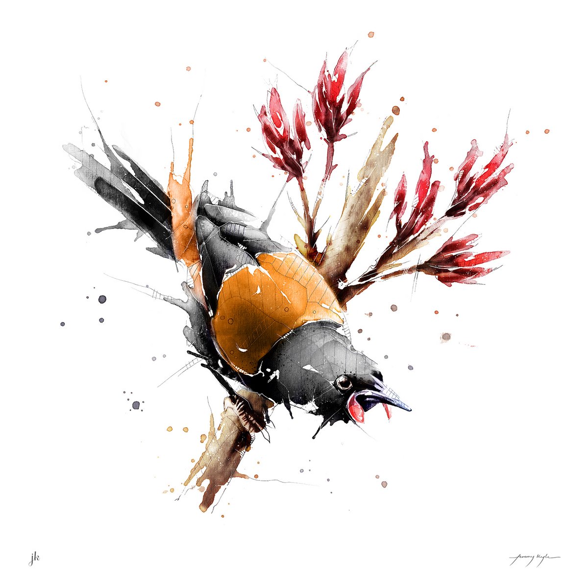 Saddleback Illustration. // #JeremyKyleArt #MixedMedia #NZBirds #Art