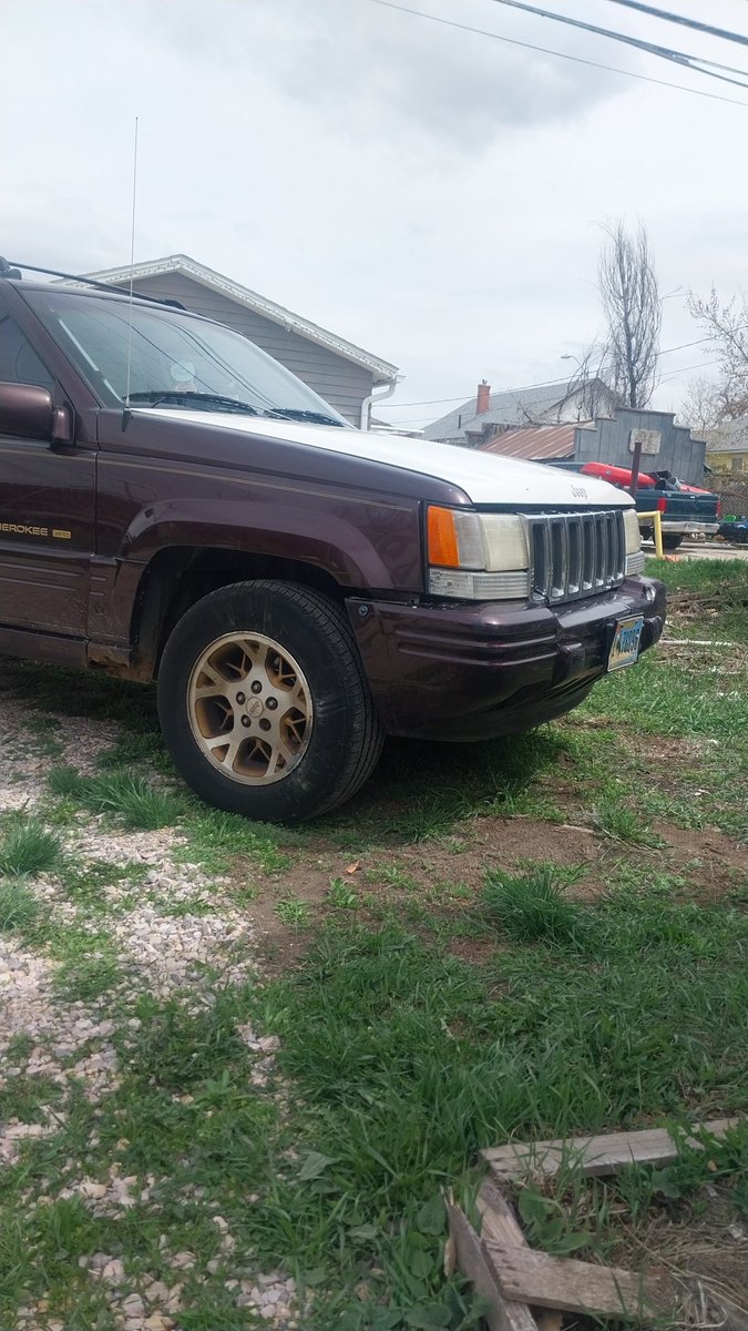 1_bigdom's tweet photo. My girl is all fixed https://t.co/ohyuvIq0gs