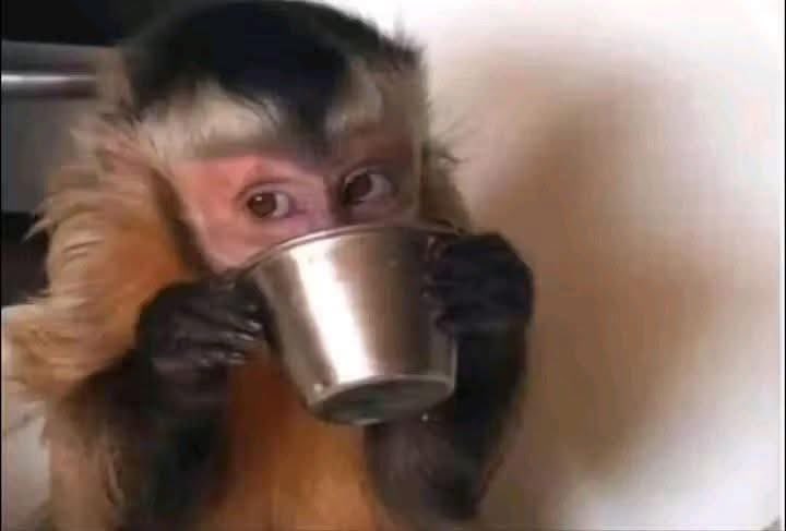 Push me to 4k followers 
I follow back ❤️