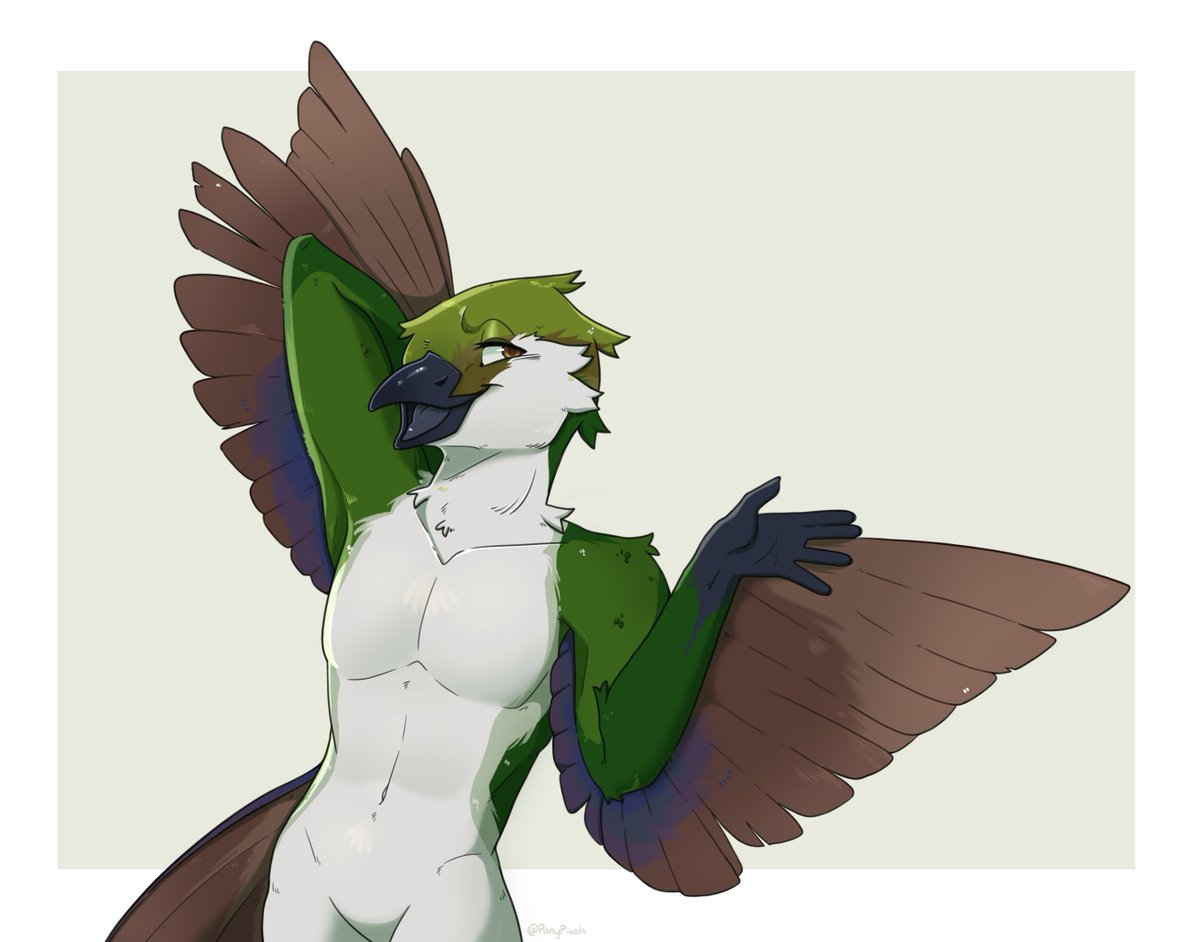 comm for Nico !! 🦜