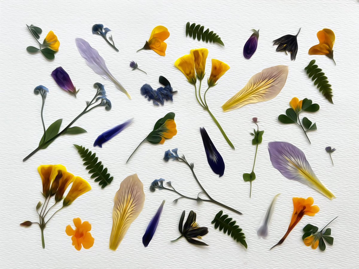 localmachine tweet media