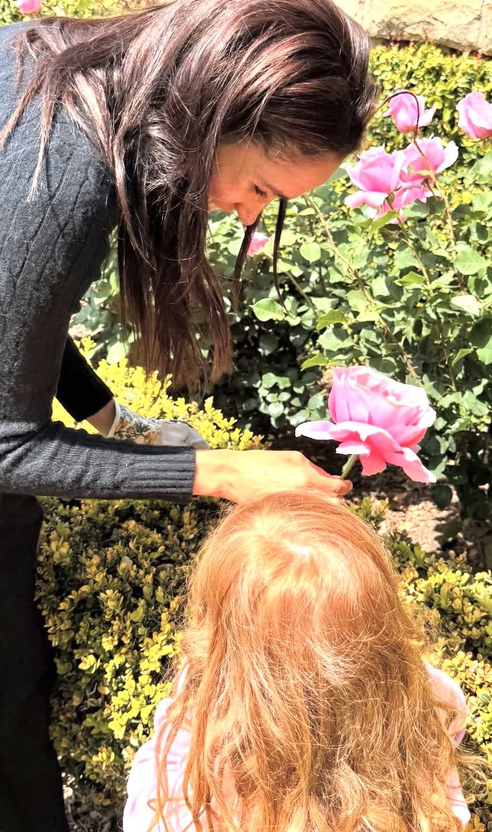 Genevieve tweet media