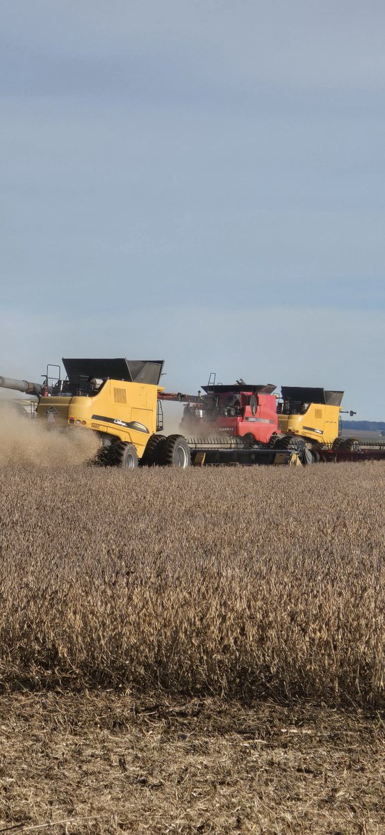 Daniel Barcelonna tweet media