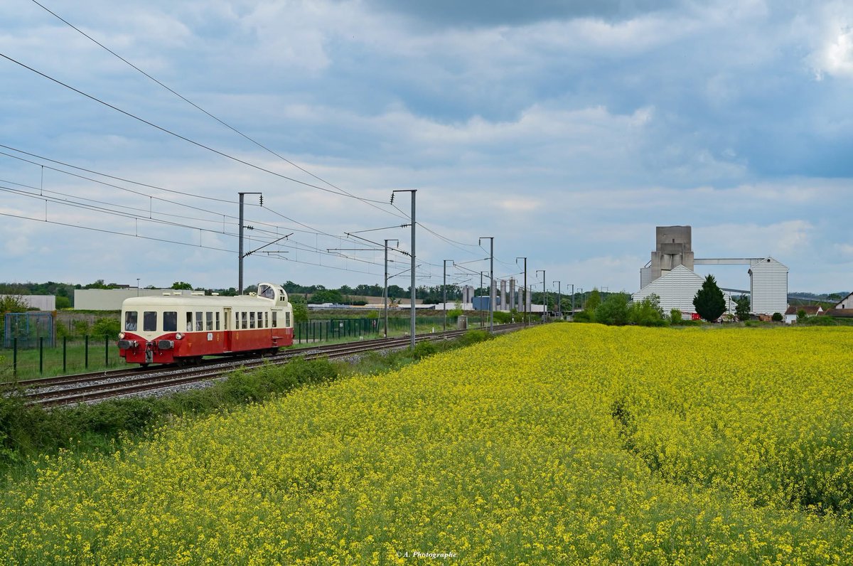 Retour de Montluçon et à destination de Dijon via Nevers cette fois-ci pour l'X4039 de l'ABFC traversant un champ de colza avec en fond la coopérative agricole de Varennes/Allier